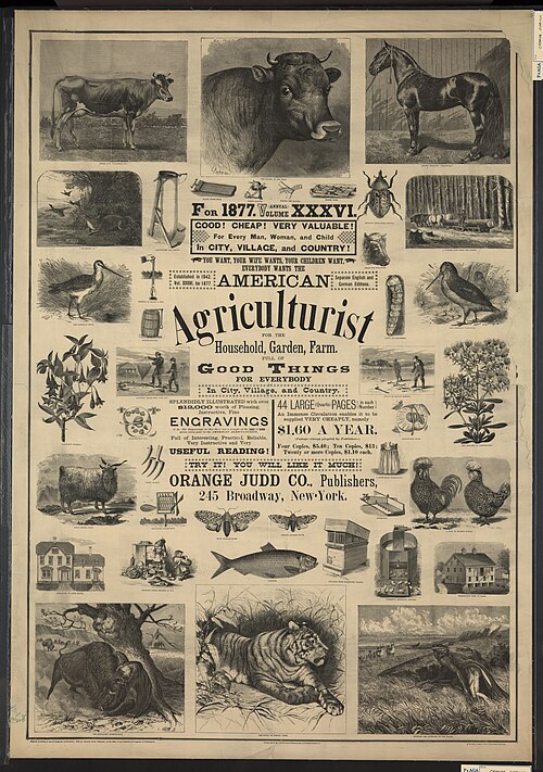 American Agriculturalist